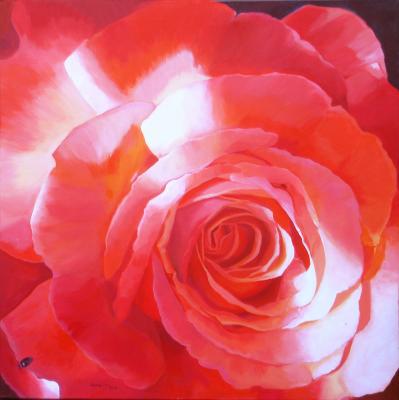 Rose im Sonnenlicht - ingrid wenz-gahler - Array auf Array - Array - Array Rose im Sonnenlicht - ingrid wenz-gahler - Array auf Array - Array - Array