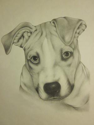 mein Hund als Welpe - Marc Fregona - Array auf Array - - Array mein Hund als Welpe - Marc Fregona - Array auf Array - - Array