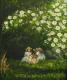 Idylle unterm Rosenbusch Idylle unterm Rosenbusch