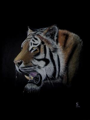 TIGER PORTRAIT - Jacqueline Scheib - Array auf Array - Array - Array