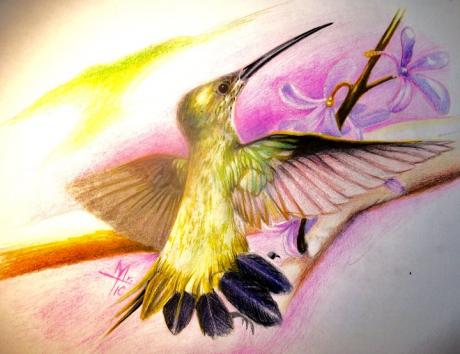 colibri - Torsten Matthes - Array auf Array - Array - Array colibri - Torsten Matthes - Array auf Array - Array - Array