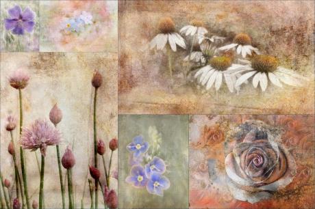 beauties of nature 1 - Claudia Gründler - Array auf - Array - beauties of nature 1 - Claudia Gründler - Array auf - Array -