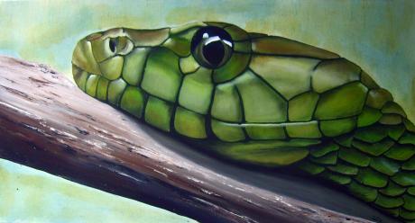 green mamba - Sylvia Wilhelm - Array auf Array - Array - Array green mamba - Sylvia Wilhelm - Array auf Array - Array - Array
