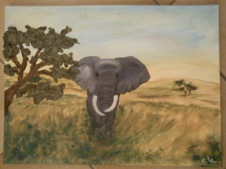 -Afrika-Elefant- - c. lemke - auf Array - Array - Array -Afrika-Elefant- - c. lemke - auf Array - Array - Array