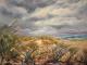 Nordsee und Strandhafer Nordsee und Strandhafer