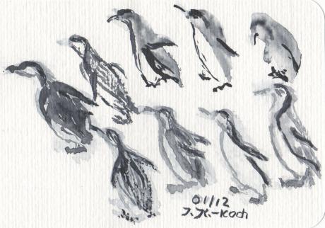 mitschwimmen - Pinguine - I. K.-Koch - Array auf Array - Array - Array mitschwimmen - Pinguine - I. K.-Koch - Array auf Array - Array - Array