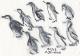 mitschwimmen - Pinguine - I. K.-Koch - Aquarell auf Papier - Tiere-Harmonie-KÃ¤lte-SchwÃ¤che-StÃ¤rke - Impressionismus