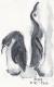 Meinungsverschiedenheit - Pinguine Meinungsverschiedenheit - Pinguine