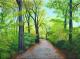 Weitmar Holz, Wald im Herbst Weitmar Holz, Wald im Herbst