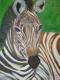 Zebra - Anke Knoth - Ãl auf Leinwand - Wildtiere - GegenstÃ¤ndlich
