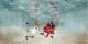 alice in waterland 1 alice in waterland 1