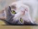 Katzenaugen - Renate Dohr - Pastell auf Karton-Pappe - Katzen - GegenstÃ¤ndlich-Realismus