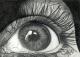 Auge Auge