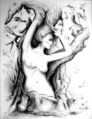 Der Poet ( Baum der Dichtung) - Grazyna Federico - Array auf  - Array - 