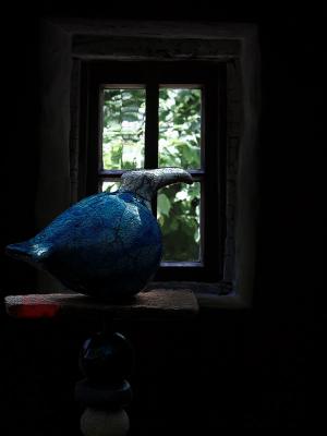 blauer Vogel - Michael Guntenhöner - Array auf - Array - blauer Vogel - Michael Guntenhöner - Array auf - Array -