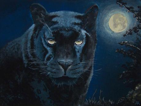Wildcat 2 - Askara Jinn - auf - Array - Wildcat 2 - Askara Jinn - auf - Array -