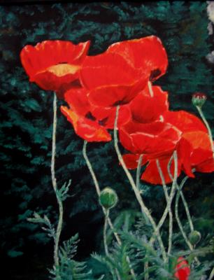 roter Mohn - Karin Foellmer - Array auf Array - Array - roter Mohn - Karin Foellmer - Array auf Array - Array -