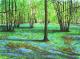 Wald mit BlauglÃ¶ckchen - Rainer Hillebrand - - auf  - Wald-FrÃ¼hling - Realismus