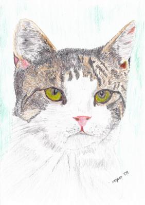 Kater Merlin - Rolf Poetsch - auf - Array - Kater Merlin - Rolf Poetsch - auf - Array -