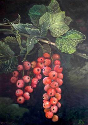 Johannisbeere (Ribes rubrum)  - G?nther Hofmann - Array auf Array - Array - Array