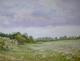Am Wegrand - G?nther Hofmann - Ãl auf Leinwand - Landschaft - GegenstÃ¤ndlich-Impressionismus-Naturalismus-Realismus
