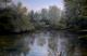 Morgensonne im Auwald - G?nther Hofmann - Ãl auf Leinwand - Wasser-Wald-Morgen - Fotorealismus-GegenstÃ¤ndlich-Impressionismus-Naturalismus-Realismus