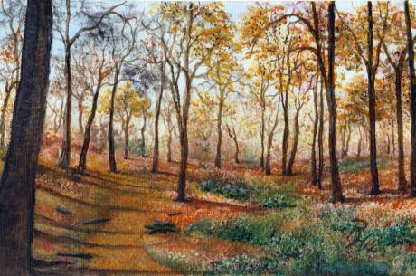 Herbstwald - Rainer Hillebrand - Array auf - Array - Herbstwald - Rainer Hillebrand - Array auf - Array -