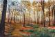 Herbstwald Herbstwald