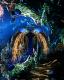 unterwasserwelt unterwasserwelt