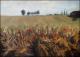 fields of summer - Ellen Fasthuber-Huemer - Ãl auf Leinwand - Wiese-Sonstiges-Sommer - Impressionismus