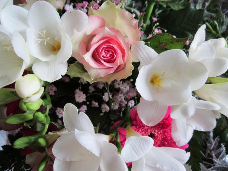 Blumen für Bénédicte - Mario Wiltzsch -  auf  - Array - 