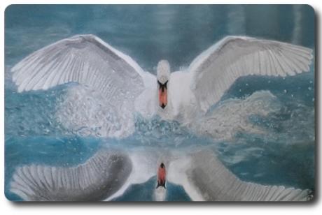 VogelART Schwan - Askara Jinn - Array auf - Array - VogelART Schwan - Askara Jinn - Array auf - Array -