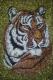 Tiger Tiger