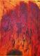 Feuer der Blume Feuer der Blume
