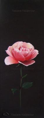 Between the rose and my soul V - Tamara Valdovino - Array auf Array - Array - Array Between the rose and my soul V - Tamara Valdovino - Array auf Array - Array - Array