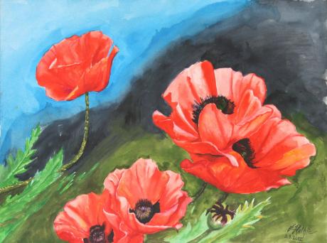 Klatschmohn 3 - Egon Rathke - Array auf - Array - Klatschmohn 3 - Egon Rathke - Array auf - Array -