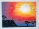 Sunset Winner Sunset Winner