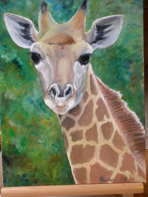 --junge giraffe - torsten hänold - Array auf Array - Array - Array --junge giraffe - torsten hänold - Array auf Array - Array - Array