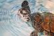 Einfach mal auftauchen - dunjate Kunst in Acryl - Acryl auf Leinwand - Wildtiere - Fotorealismus