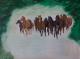 Pferdeherde im Galopp - Claudia LÃ¼thi - Ãl auf Leinwand - Pferde - GegenstÃ¤ndlich-Impressionismus-Realismus