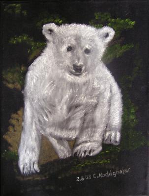 Eisbärjunges auf schwarzem Samt - Claudia Lüthi - Array auf  - Array - Array