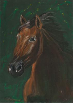 Pferdeportrait auf grünem Samt - Claudia Lüthi - Array auf  - Array - Array