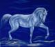 Schimmel auf blauem Samt - Claudia LÃ¼thi - Ãl auf  - Pferde - GegenstÃ¤ndlich-Impressionismus-Klassisch-Realismus