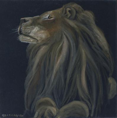 Löwe auf schwarzem Samt - Claudia Lüthi - Array auf  - Array - Array