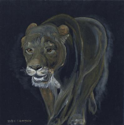 Löwin auf schwarzem Samt - Claudia Lüthi - Array auf  - Array - Array