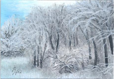 Winterwald 2 - Rainer Hillebrand - Array auf Array - Array - Array Winterwald 2 - Rainer Hillebrand - Array auf Array - Array - Array