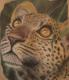 Leopard - simone finster - Pastell auf Papier - Raubkatzen - GegenstÃ¤ndlich