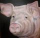 Bioschwein BÃ¤rbel - simone finster - Acryl auf  - Haustiere - GegenstÃ¤ndlich