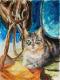 Stallkatze Stallkatze