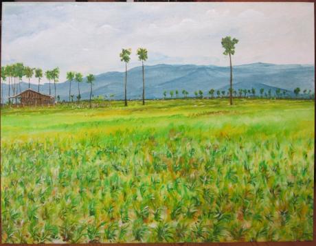 Reisfelder / Kambodscha - peter paint - Array auf Array - Array - Array